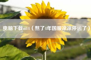 电脑下载mt4（熬了4年国服凉凉停运了）
