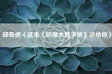 邱奇迹（这本《防爆水管手册》送给你）
