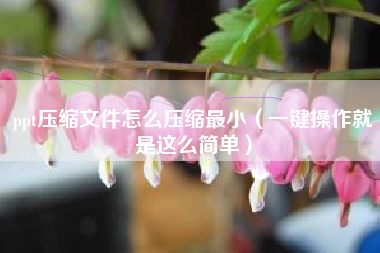 ppt压缩文件怎么压缩最小（一键操作就是这么简单）