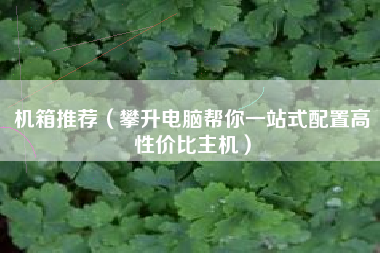 机箱推荐（攀升电脑帮你一站式配置高性价比主机）
