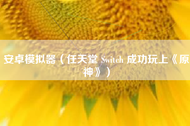 安卓模拟器（任天堂 Switch 成功玩上《原神》）