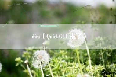 dirs（QuickGUI 来了）