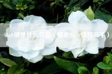 详细阅读:shift键是什么意思(都是Excel技巧高手) shift键是什么意思(都是Excel技巧高手)