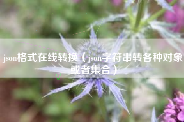 json格式在线转换（json字符串转各种对象或者集合）