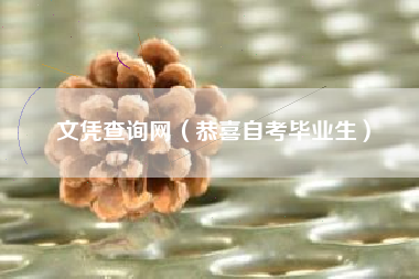 文凭查询网（恭喜自考毕业生）