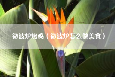 微波炉烤鸡(微波炉怎么做美食)