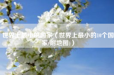 世界上最小的国家(世界上最小的10个国家(附地图))