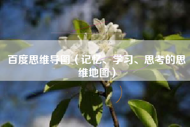 百度思维导图（记忆、学习、思考的思维地图）