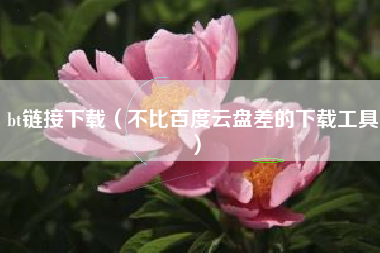 bt链接下载(不比百度云盘差的下载工具)