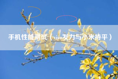 手机性能测试(vivo发力与小米持平)