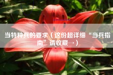 当特种兵的要求（这份超详细“当兵指南”请收藏→）
