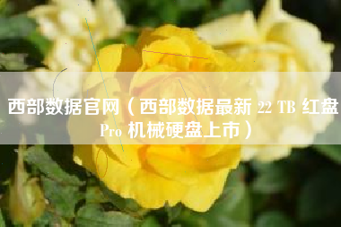 西部数据官网（西部数据最新 22 TB 红盘 Pro 机械硬盘上市）