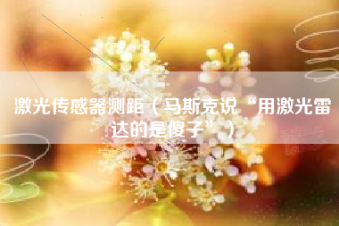 激光传感器测距（马斯克说“用激光雷达的是傻子”）