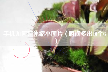 手机如何整体缩小图片（瞬间多出10个G）