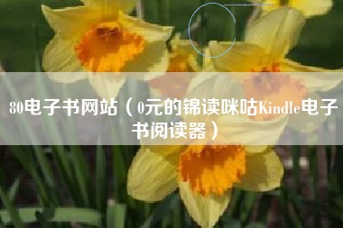 80电子书网站（0元的锦读咪咕Kindle电子书阅读器）