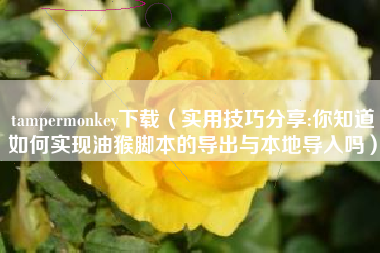 tampermonkey下载（实用技巧分享:你知道如何实现油猴脚本的导出与本地导入吗）