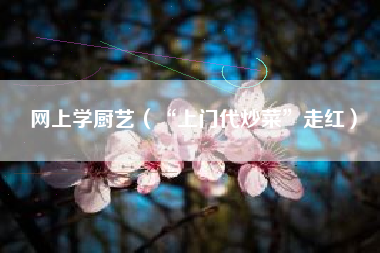 详细阅读:网上学厨艺(“上门代炒菜”走红) 网上学厨艺(“上门代炒菜”走红)