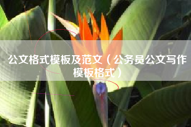 公文格式模板及范文（公务员公文写作模板格式）