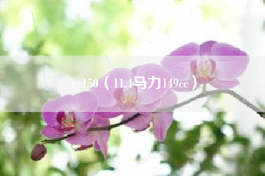 cc150（11.4马力149cc）