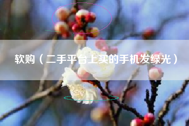 软购（二手平台上买的手机发绿光）
