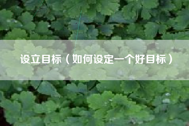 设立目标（如何设定一个好目标）