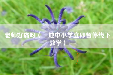 老师好痛呀（一地中小学立即暂停线下教学）