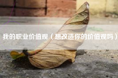 我的职业价值观(想改造你的价值观吗)