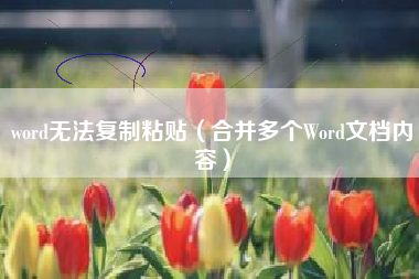 word无法复制粘贴（合并多个Word文档内容）