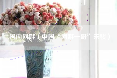 国内网游(中国“网游一哥”朱骏)