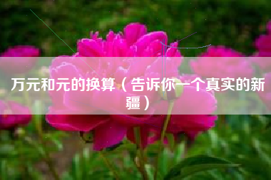 万元和元的换算(告诉你一个真实的新疆)