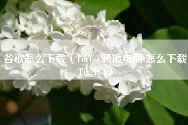 谷歌怎么下载（TikTok跨境电商:怎么下载Tik Tok）