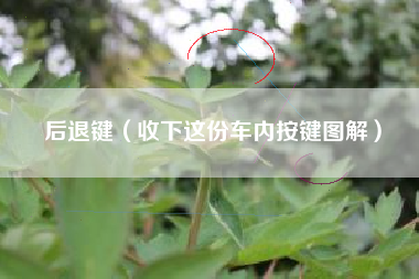 后退键(收下这份车内按键图解)
