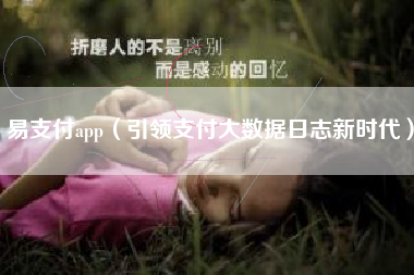 易支付app（引领支付大数据日志新时代）