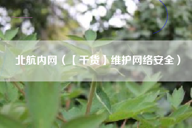 北航内网（【干货】维护网络安全）
