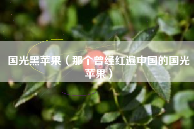 国光黑苹果(那个曾经红遍中国的国光苹果)