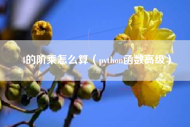 4的阶乘怎么算（python函数高级）