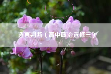 选言判断（高中政治选修三）