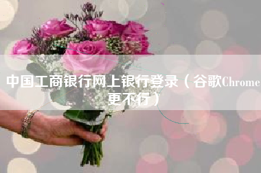 中国工商银行网上银行登录（谷歌Chrome更不行）
