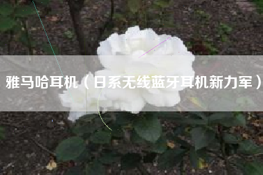 雅马哈耳机（日系无线蓝牙耳机新力军）