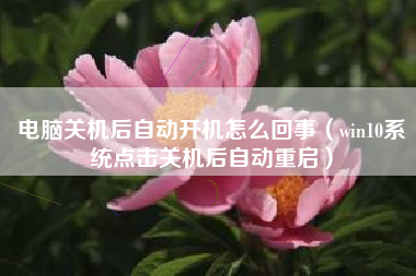 电脑关机后自动开机怎么回事（win10系统点击关机后自动重启）