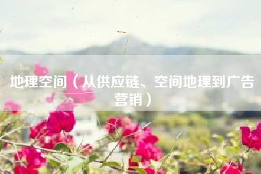 地理空间（从供应链、空间地理到广告营销）