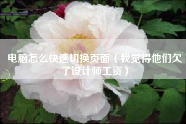 电脑怎么快速切换页面(我觉得他们欠了设计师工资)