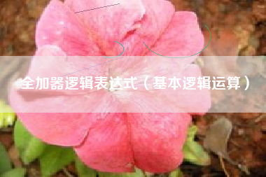 全加器逻辑表达式（基本逻辑运算）