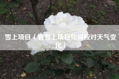 详细阅读:雪上项目(看雪上项目如何应对天气变化) 雪上项目(看雪上项目如何应对天气变化)
