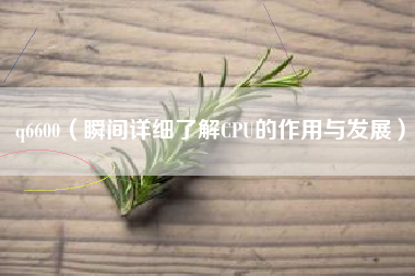 q6600（瞬间详细了解CPU的作用与发展）