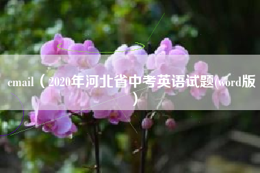 cmail(2020年河北省中考英语试题(word版)