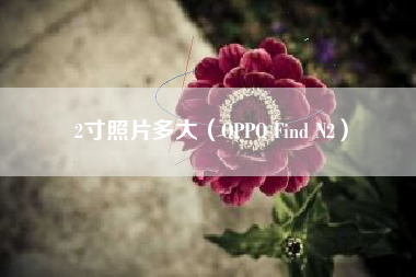 2寸照片多大（OPPO Find N2）
