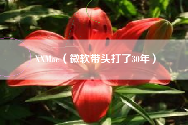 XXMac（微软带头打了30年）