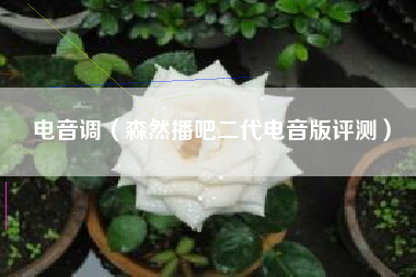 电音调（森然播吧二代电音版评测）