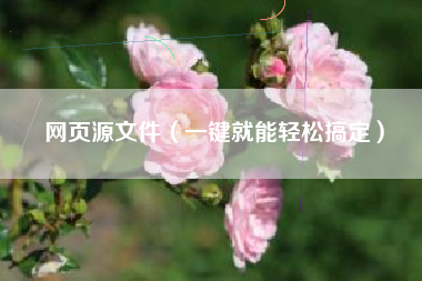 网页源文件（一键就能轻松搞定）